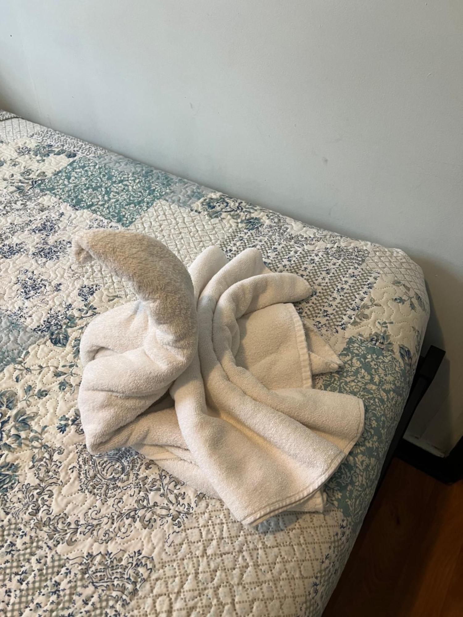 Hostal Victoria Punta Arenas Buitenkant foto